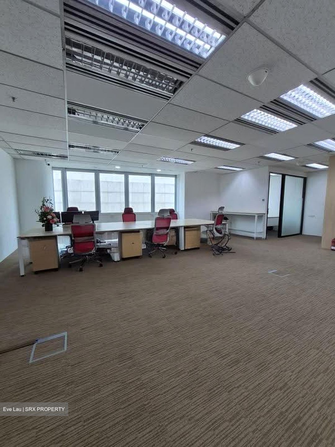 Tan Eng Kiam Building (D1), Office #623048981